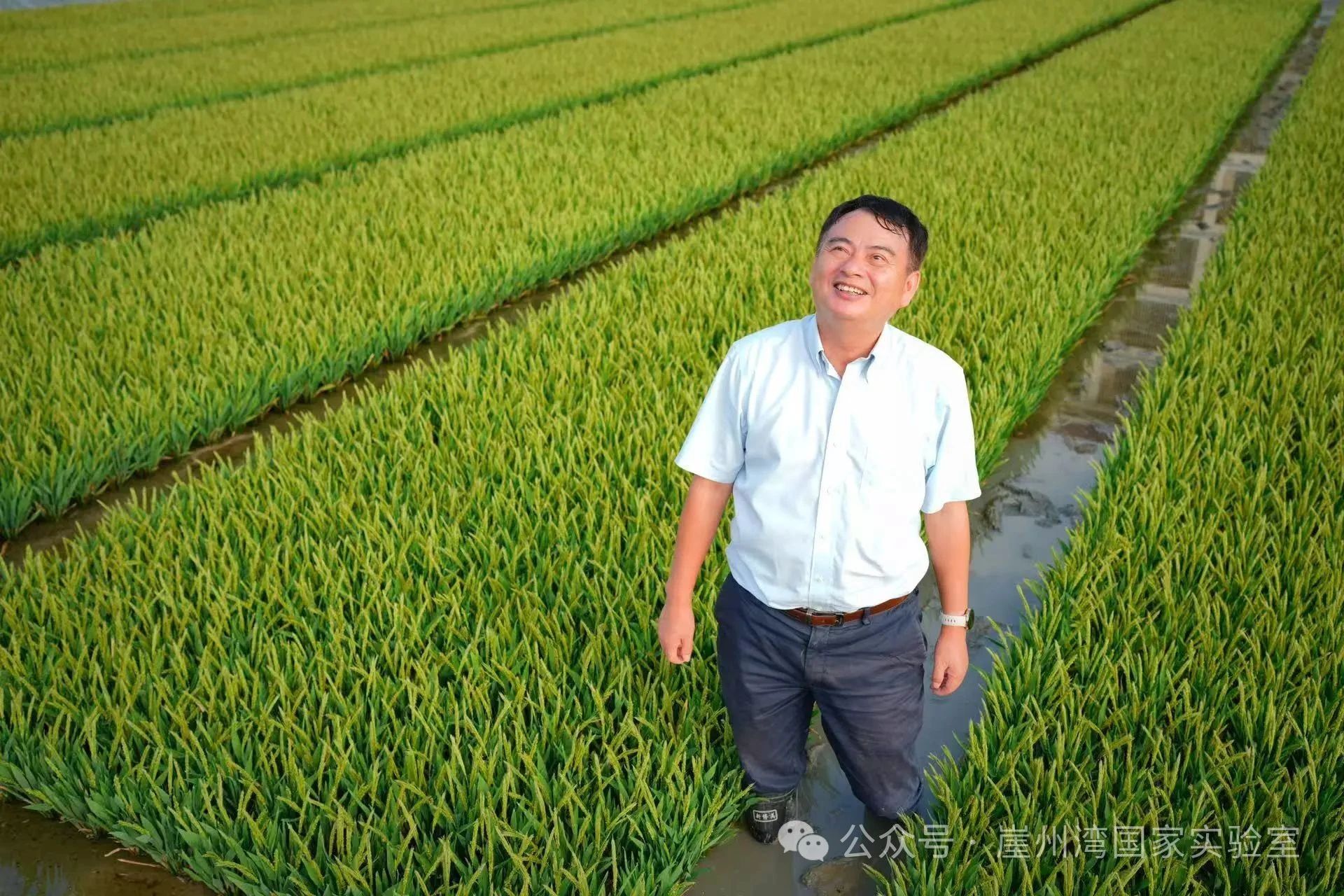 微信圖片_20250528111115.jpg