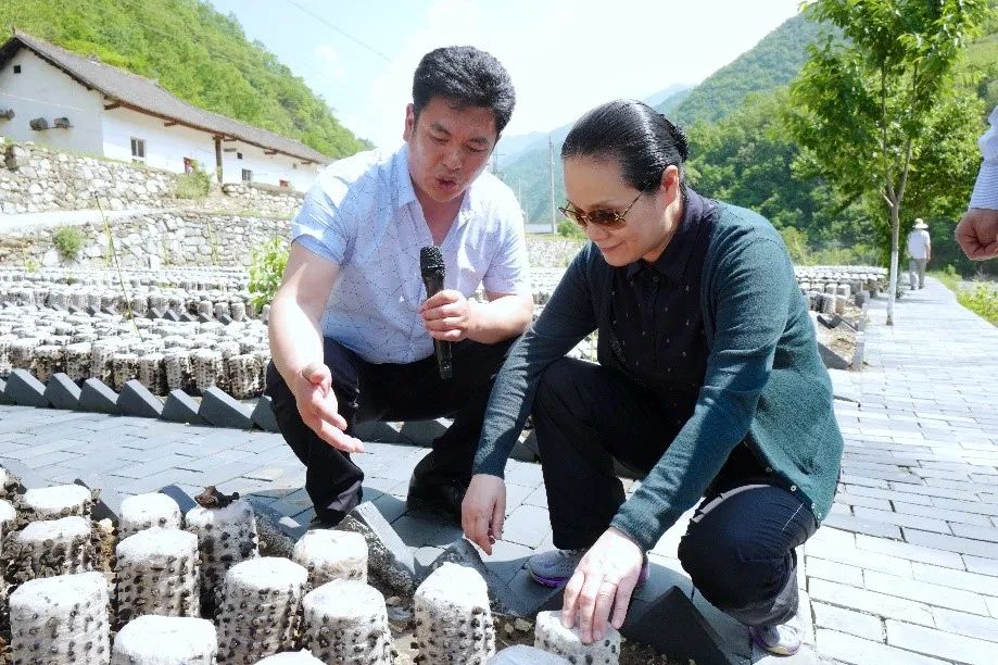 鍥撅細(xì)鍦ㄤ咕浣戣閬撹濺瀹舵渤鏉戯紝璧甸洴涓？瀵熺湅鏉戦噷鐨勬湪鑰崇妞嶅熀鍦般？